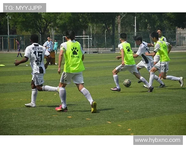 巴西足球明星在绿茵场上的爱与梦想交织的青春故事