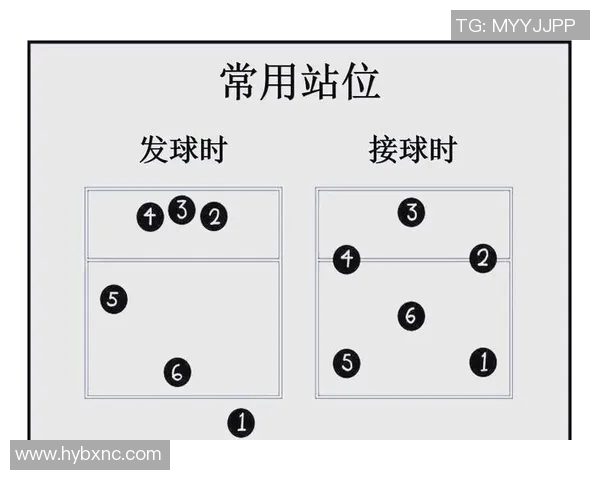 武汉排球队的节奏解析与深度剖析排球运动的魅力与挑战