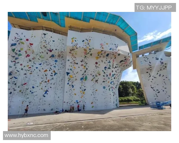 深入分析广州攀岩队的盯防战术与技术特点